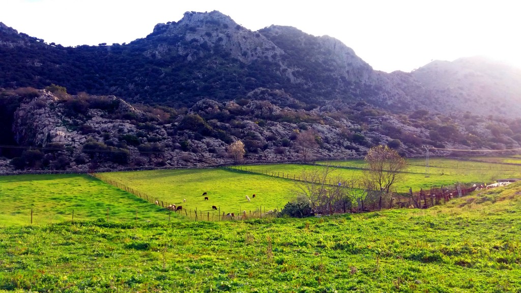 Foto de Villaluenga del Rosario (Cádiz), España