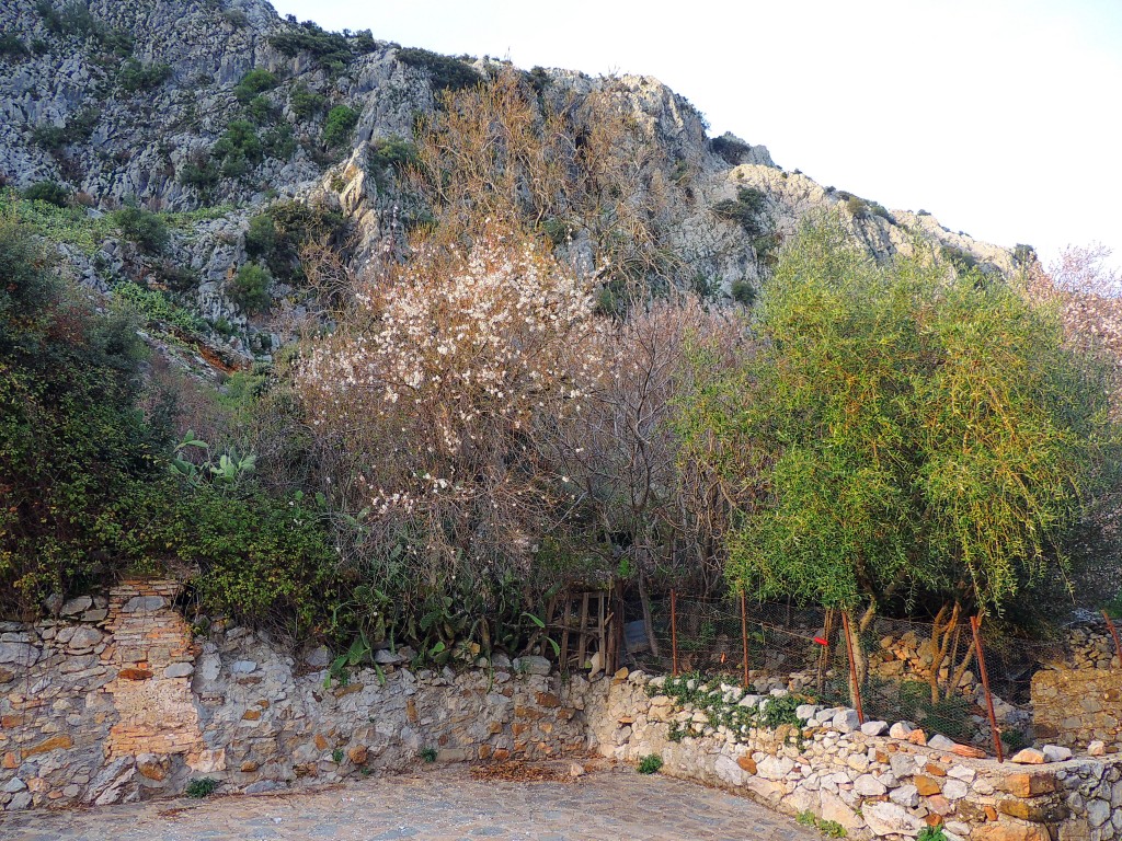 Foto de Villaluenga del Rosario (Cádiz), España