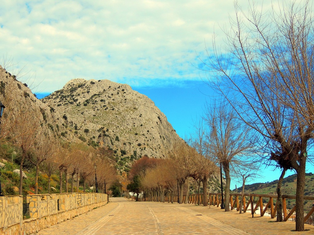 Foto de Villaluenga del Rosario (Cádiz), España