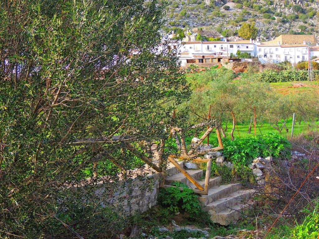 Foto de Villaluenga del Rosario (Cádiz), España