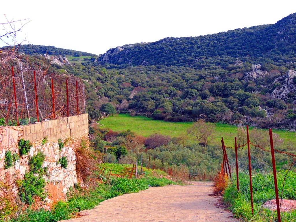 Foto de Villaluenga del Rosario (Cádiz), España