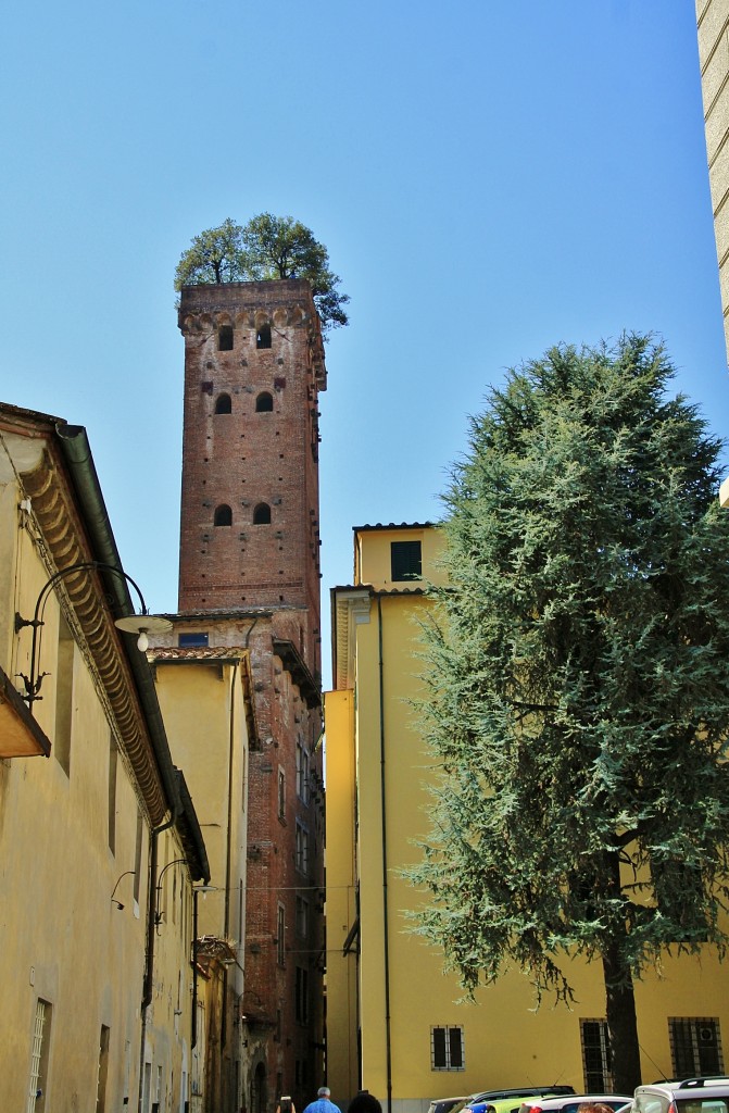 Foto: Torre Guinigi - Lucca (Tuscany), Italia