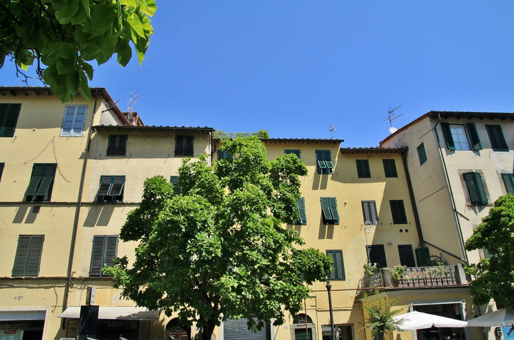 Foto: Centro histórico - Lucca (Tuscany), Italia