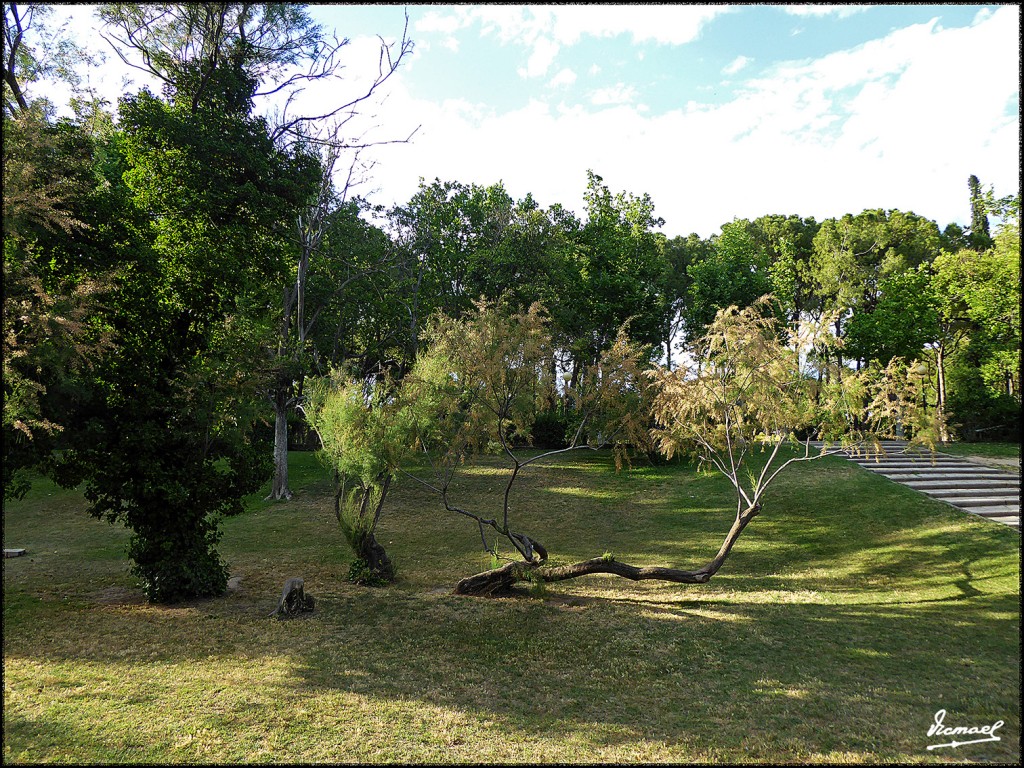 Foto: 160614-09 PARQUE ZARAGOZA - Zaragoza (Aragón), España