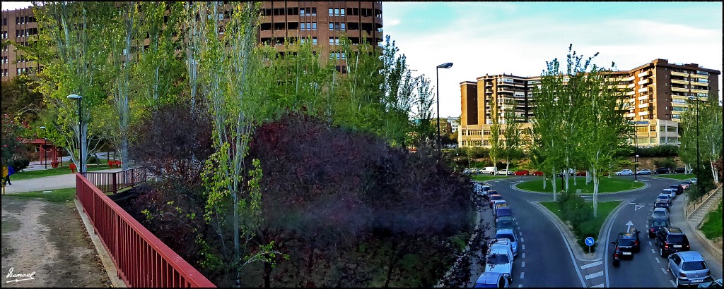 Foto PARQUE MIRAFLORES Zaragoza Aragón España