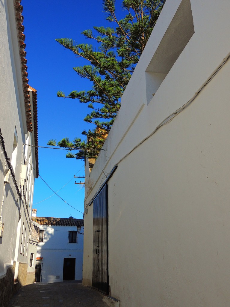 Foto de Alcalá de los Gazules (Cádiz), España