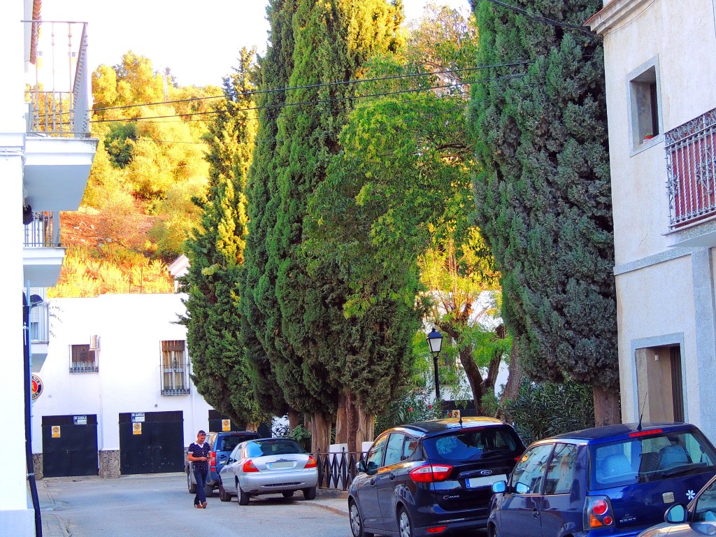 Foto de Alcalá de los Gazules (Cádiz), España