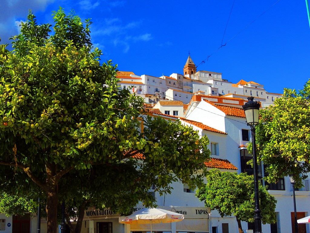 Foto de Alcalá de los Gazules (Cádiz), España