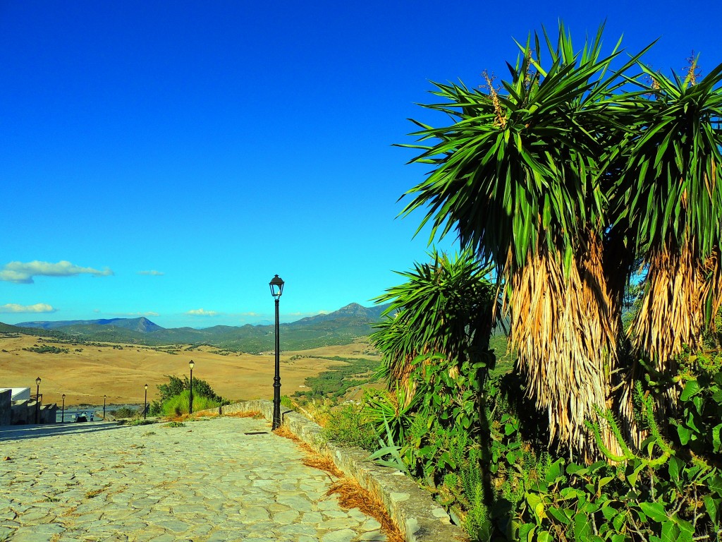 Foto de Alcalá de los Gazules (Cádiz), España