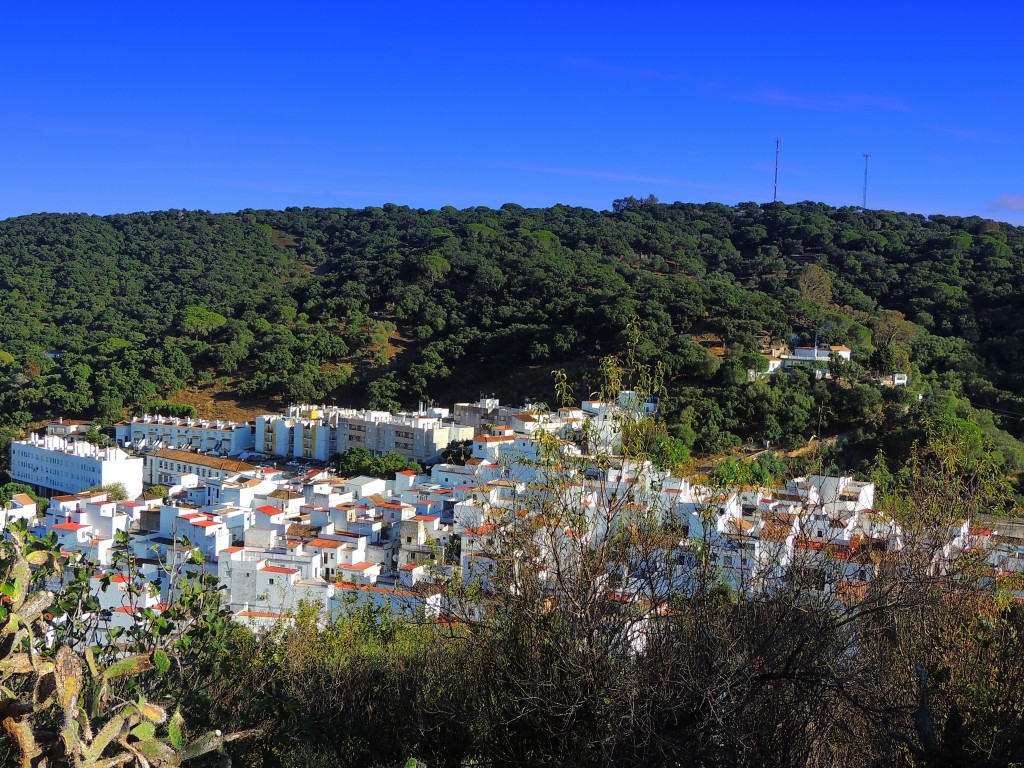 Foto de Alcalá de los Gazules (Cádiz), España