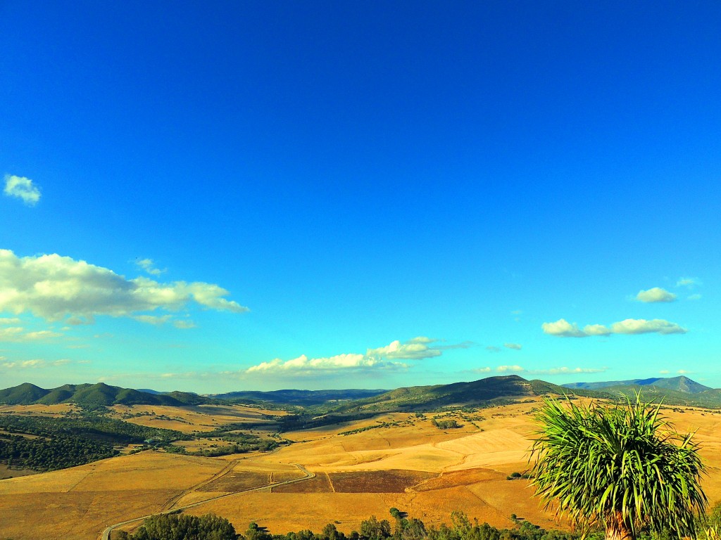 Foto de Alcalá de los Gazules (Cádiz), España