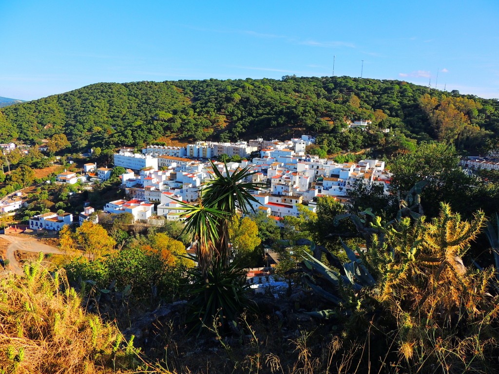 Foto de Alcalá de los Gazules (Cádiz), España