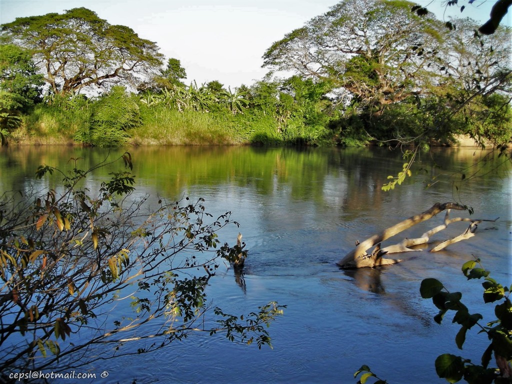 Foto: Rio Portuguesa - Guanarito (Portuguesa), Venezuela