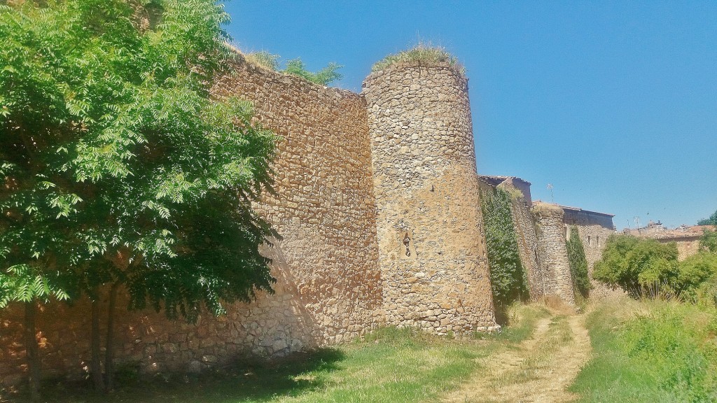 Foto: Muralla - Palazuelos (Guadalajara), España