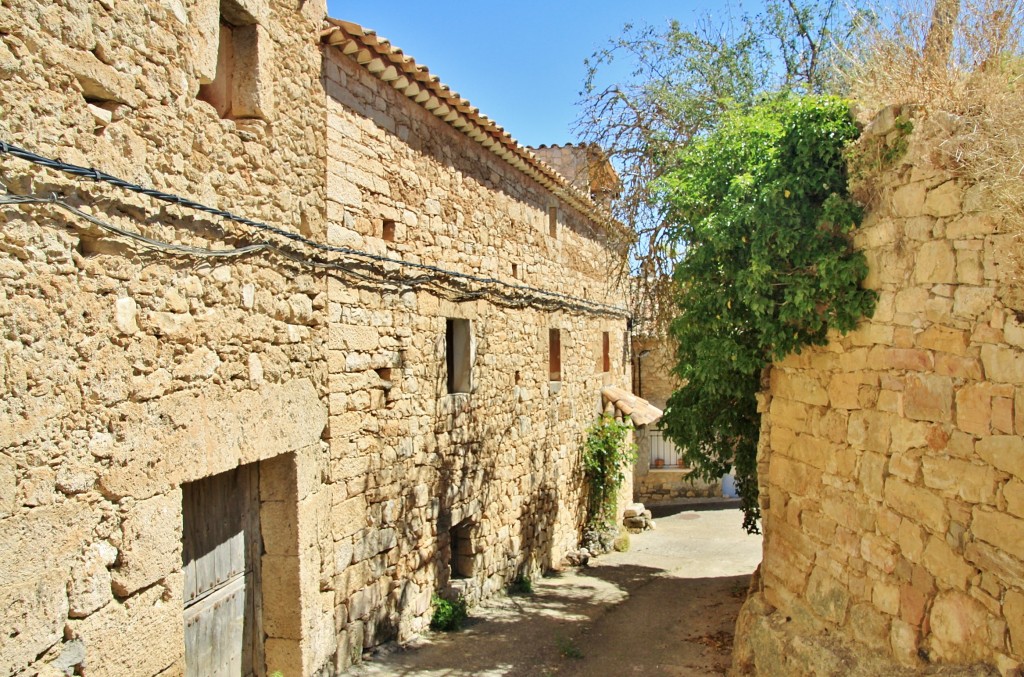 Foto: Recinto amurallado - Palazuelos (Guadalajara), España