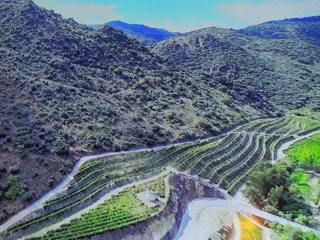 Foto de Bombarral (Leiria), Portugal