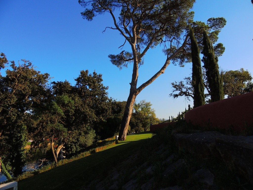 Foto de Bombarral (Leiria), Portugal