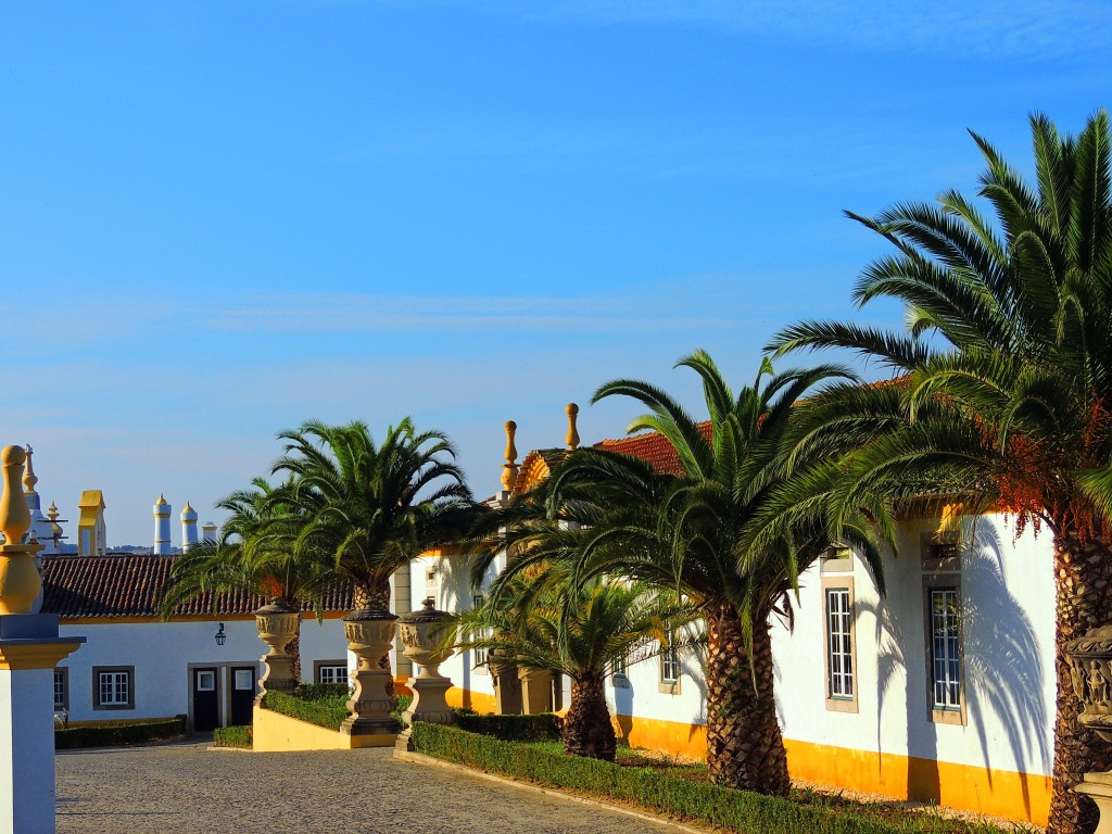 Foto de Bombarral (Leiria), Portugal