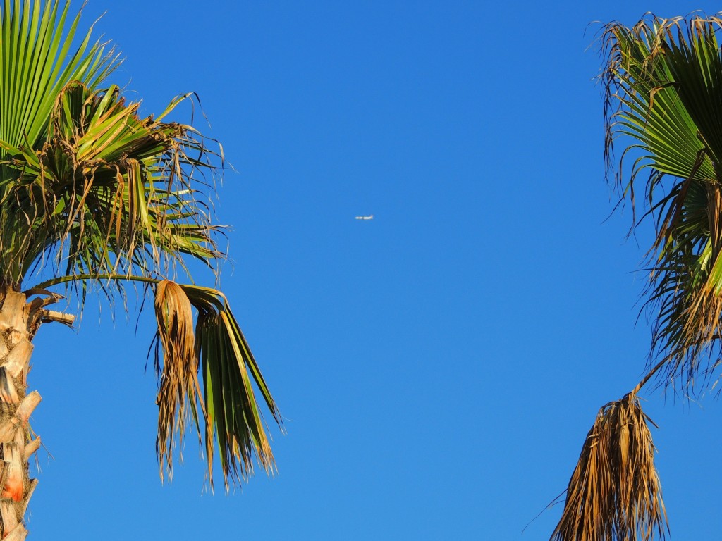 Foto de Bombarral (Leiria), Portugal