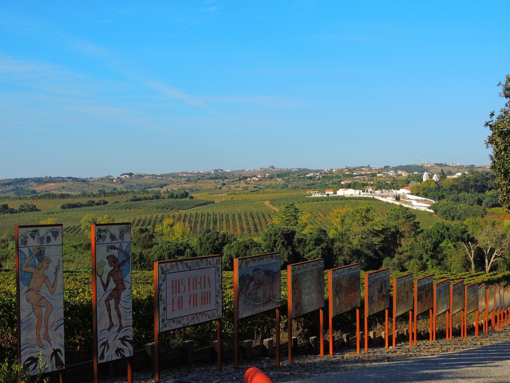 Foto de Bombarral (Leiria), Portugal