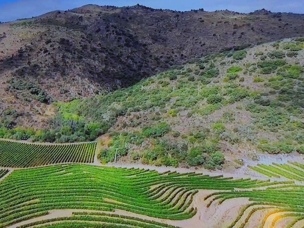 Foto de Bombarral (Leiria), Portugal