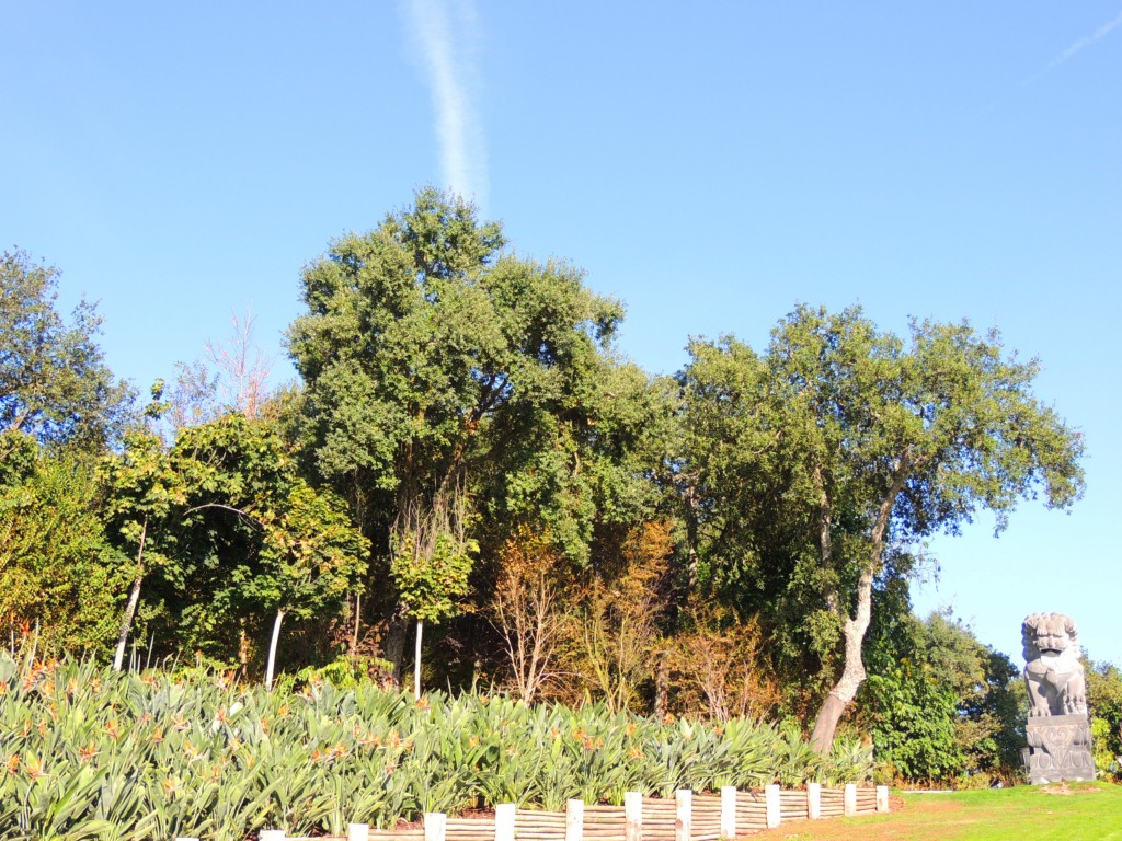 Foto de Bombarral (Leiria), Portugal