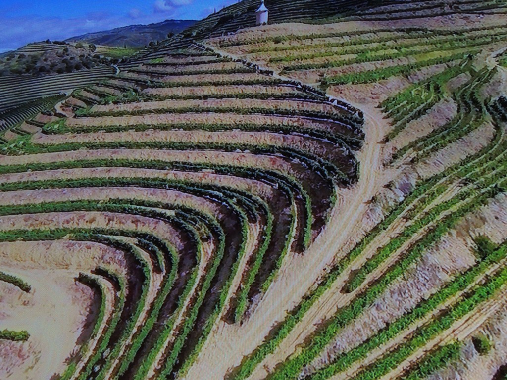 Foto de Bombarral (Leiria), Portugal