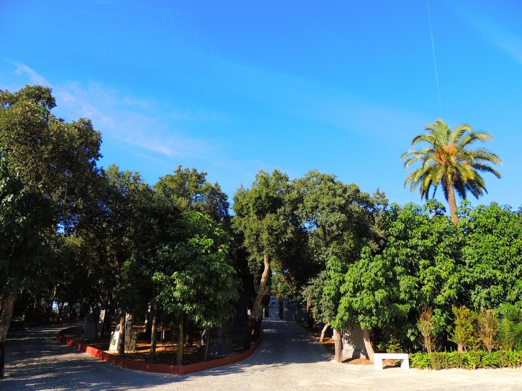 Foto de Bombarral (Leiria), Portugal