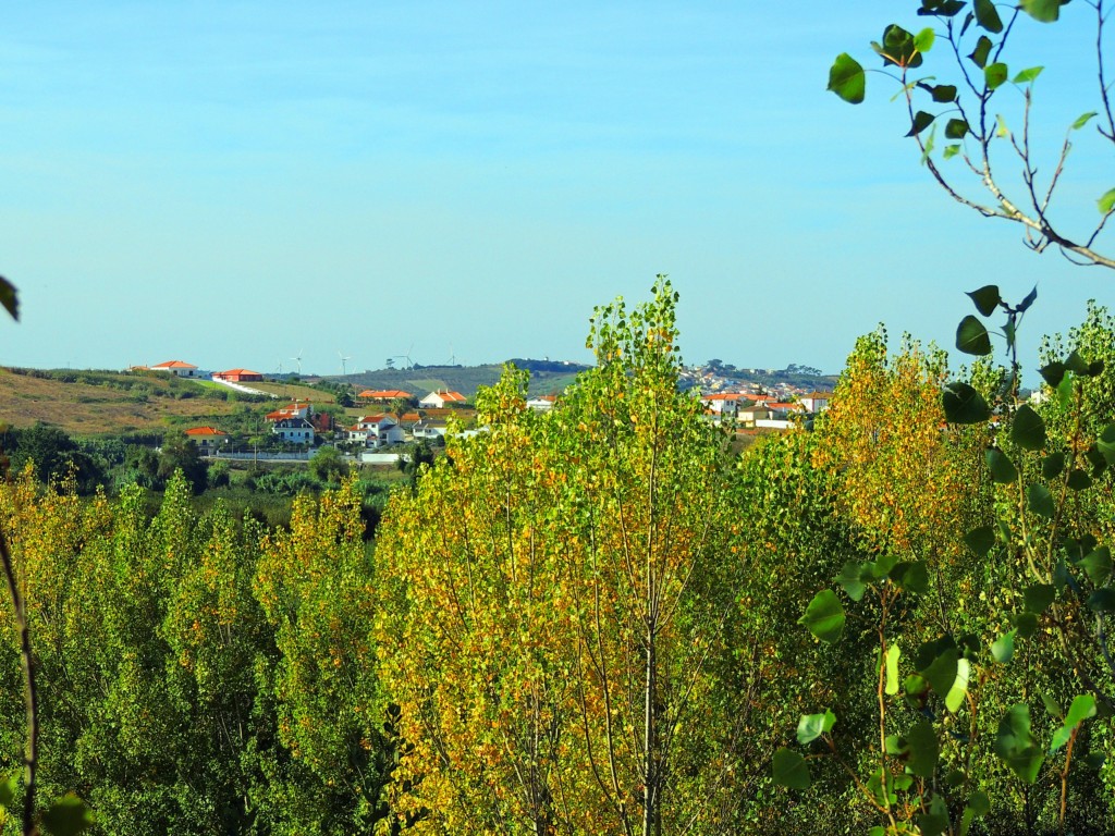 Foto de Bombarral (Leiria), Portugal