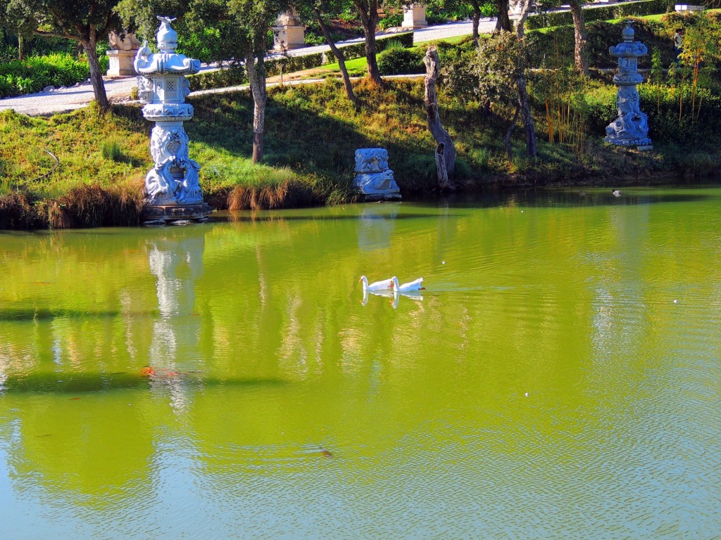 Foto de Bombarral (Leiria), Portugal