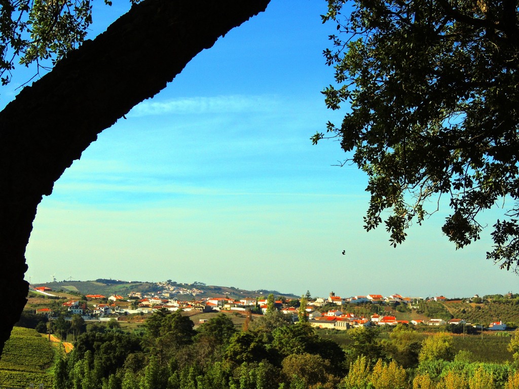 Foto de Bombarral (Leiria), Portugal