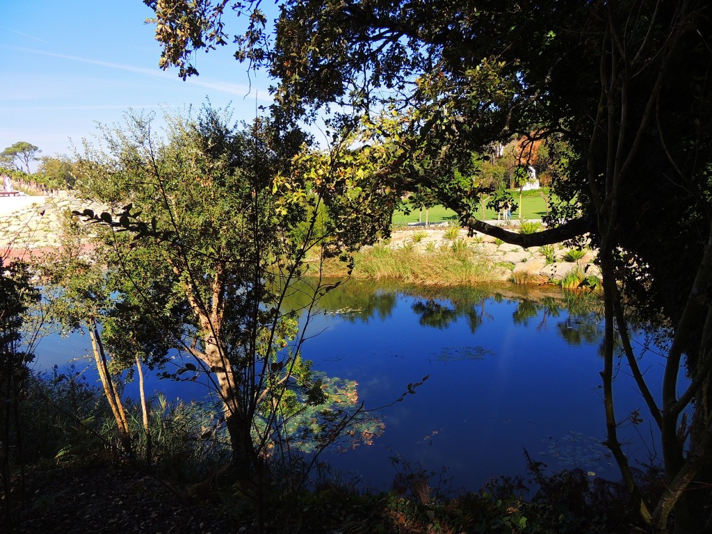 Foto de Bombarral (Leiria), Portugal