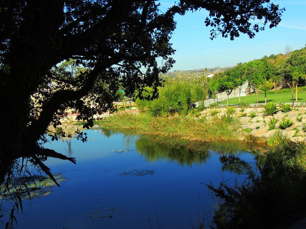 Foto de Bombarral (Leiria), Portugal