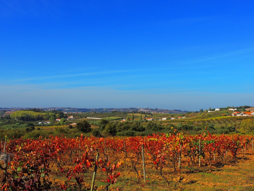 Foto de Bombarral (Leiria), Portugal