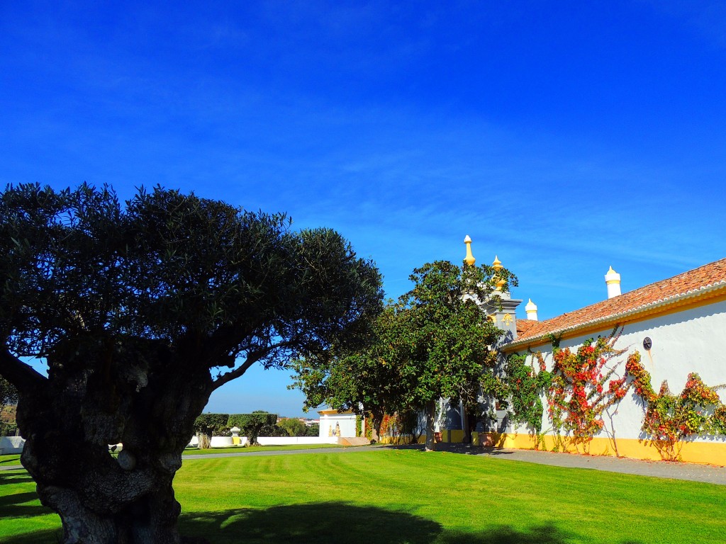 Foto de Bombarral (Leiria), Portugal