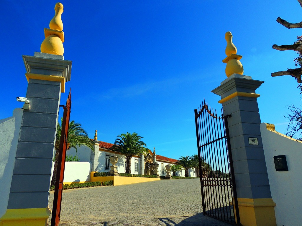 Foto de Bombarral (Leiria), Portugal