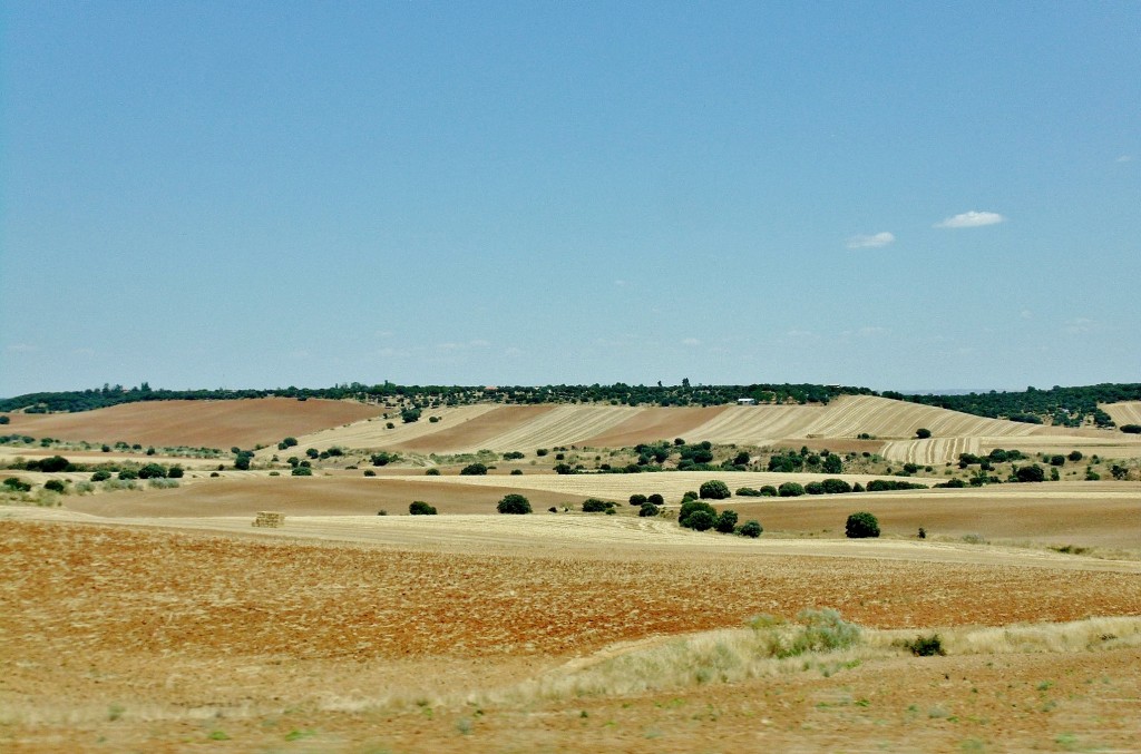 Foto: Paisaje - Hita (Guadalajara), España