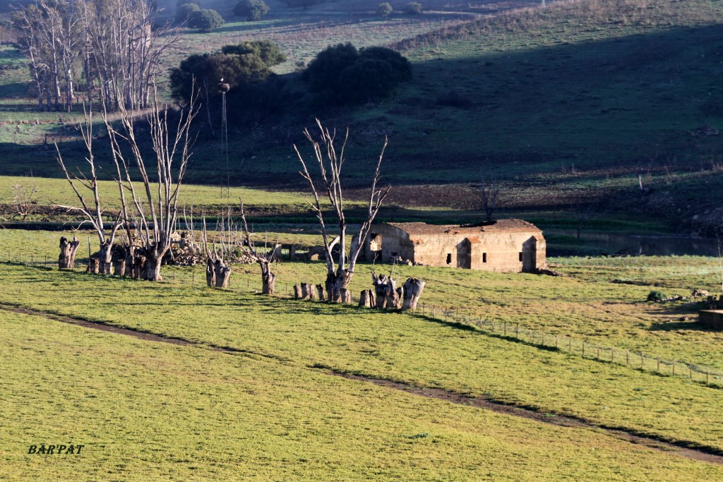 Foto de San José del Valle (Cádiz), España