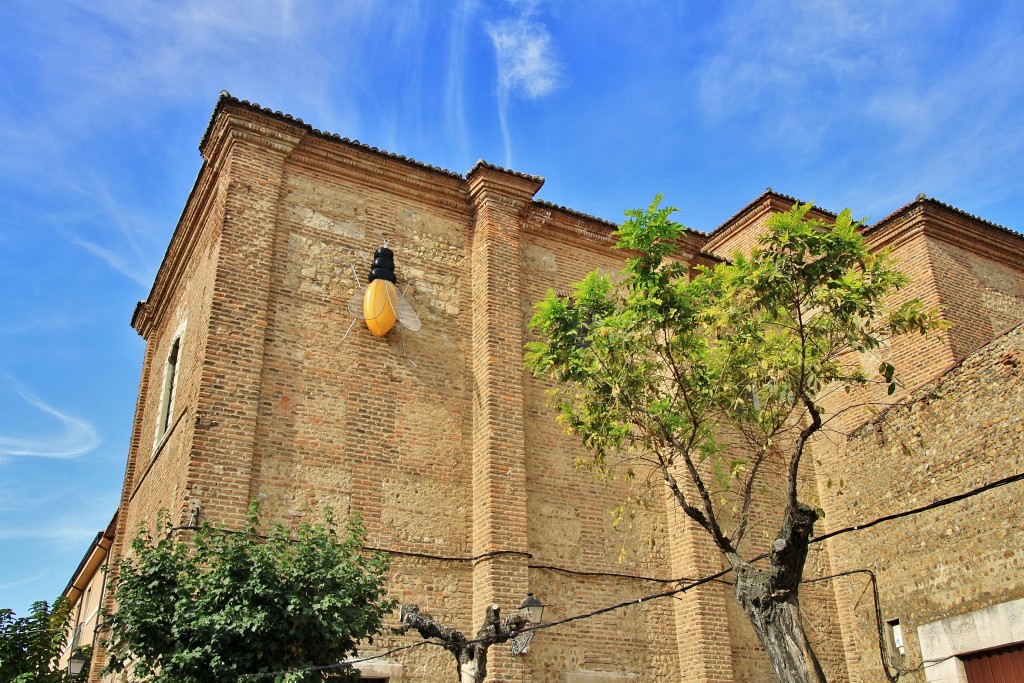 Foto: Bichito - León (Castilla y León), España