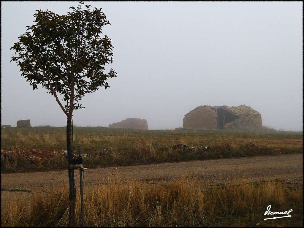 Foto: 161203-33 Alconchel De Ariza - Alconchel De Ariza (Zaragoza), España