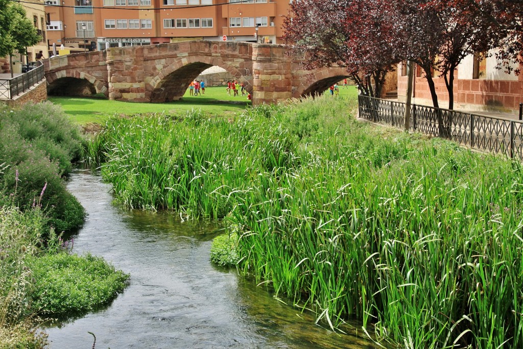 Foto: Río Gallo - Molina de Aragón (Guadalajara), España