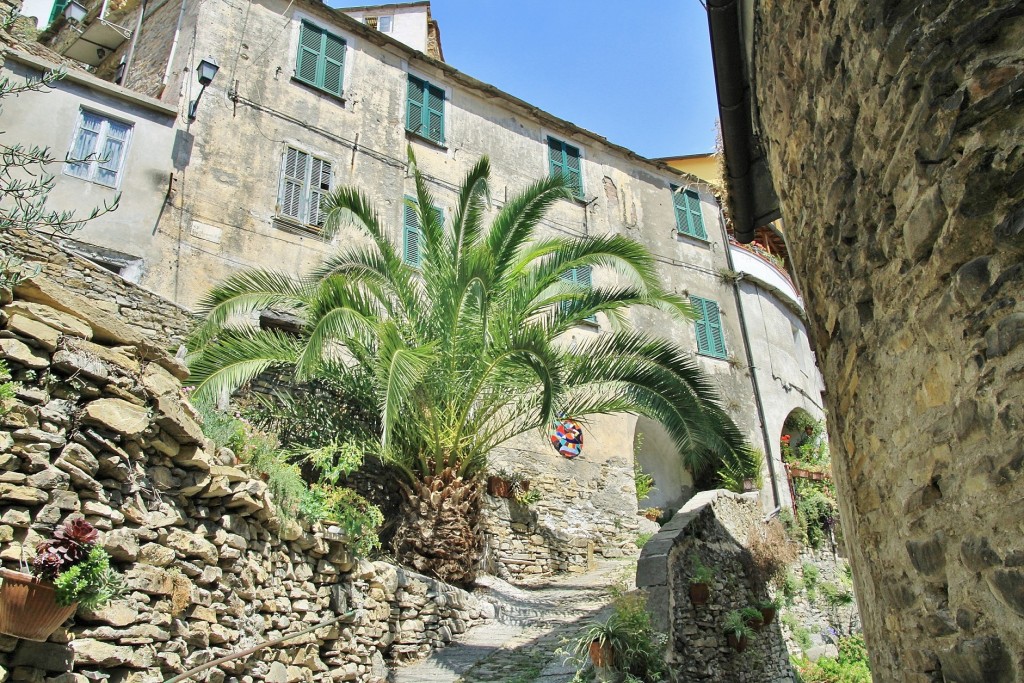 Foto: Centro histórico - Badalucco (Liguria), Italia