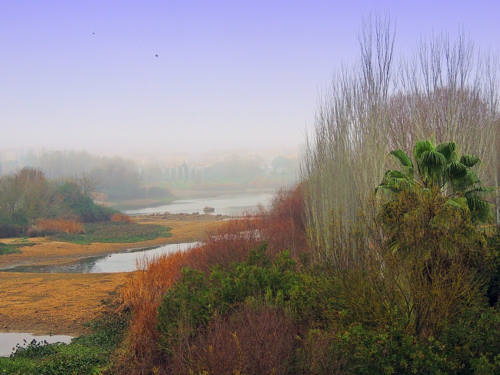 Foto de Mérida (Badajoz), España