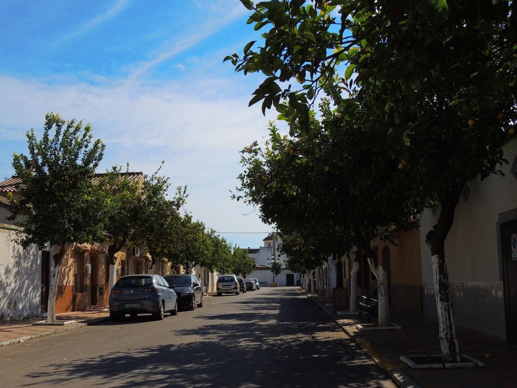 Foto de Nueva Jarilla (Cádiz), España