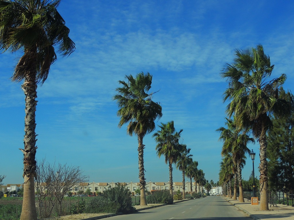 Foto de Nueva Jarilla (Cádiz), España