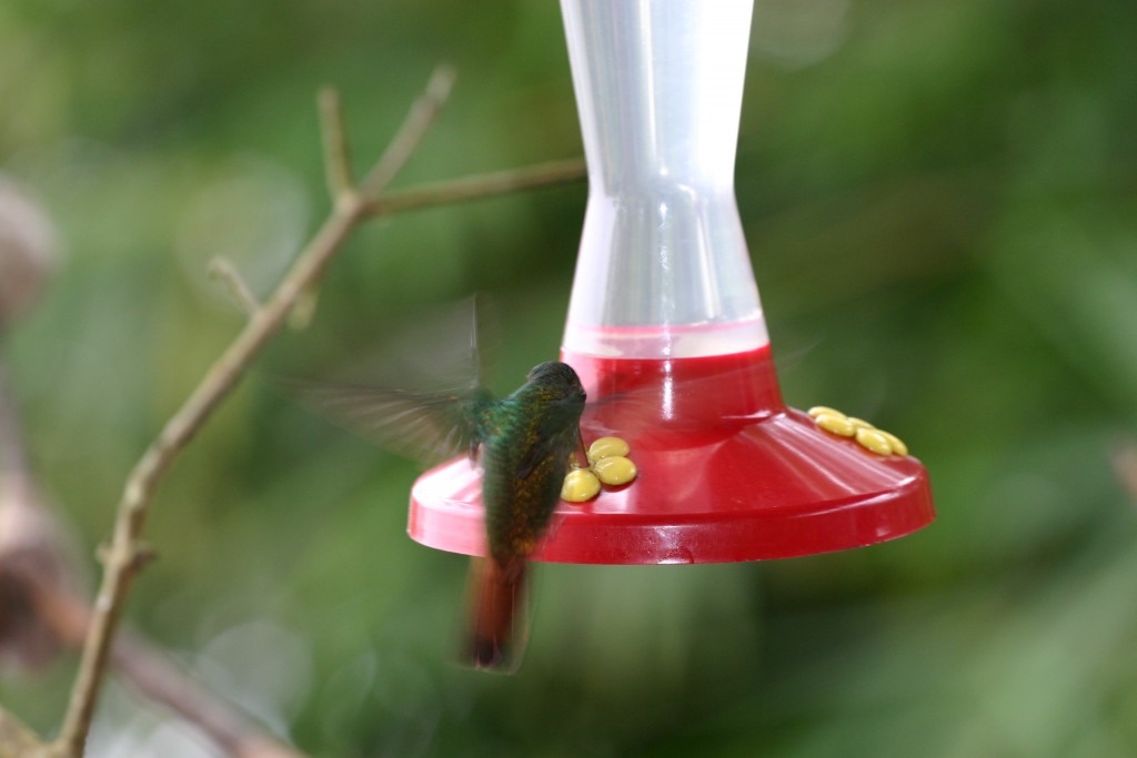 Foto de San José, Costa Rica