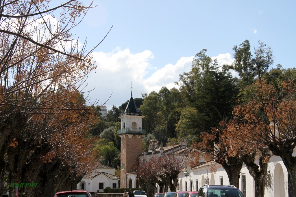 Foto de San josé del Valle (Cádiz), España