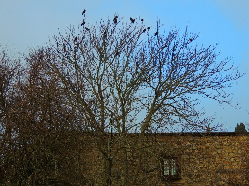 Foto de Trujillo (Cáceres), España