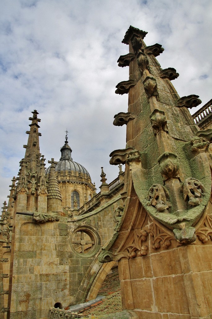 Foto: Tejado de la catedral - Salamanca (Castilla y León), España