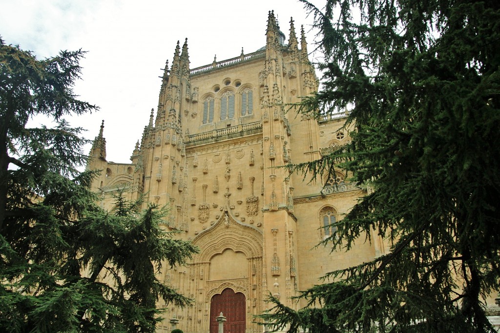 Foto: Catedral - Salamanca (Castilla y León), España